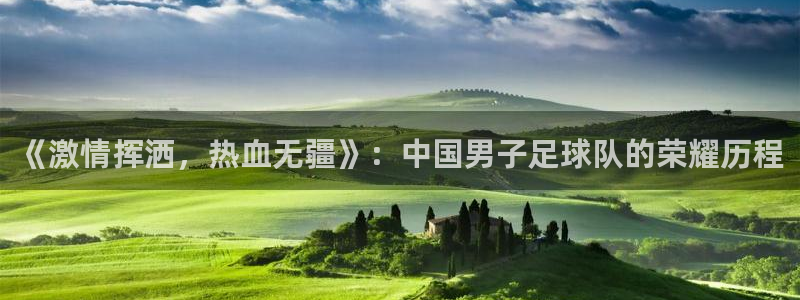 杏鑫2登录：《激情挥洒，热血无疆》：中国男子足球队的荣耀历程