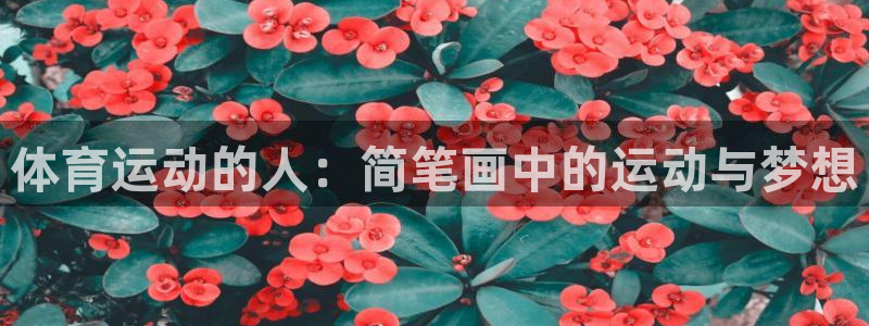 杏鑫体育官网：体育运动的人：简笔画中的运动与梦想
