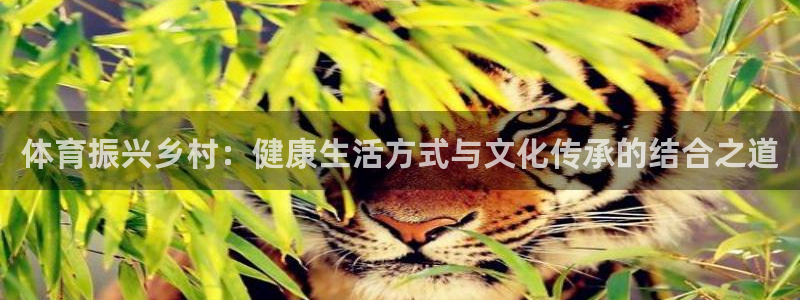 福建杏鑫机电股份公司：体育振兴乡村：健康生活方式与文化传承的结合之道