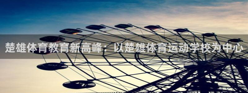 杏鑫体育凯捷平台招商：楚雄体育教育新高峰：以楚雄体育运动学校为中心