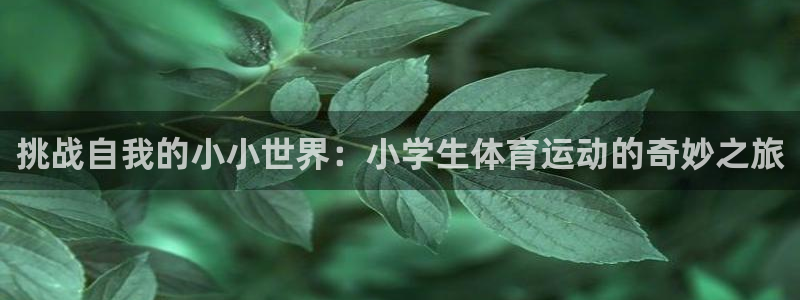 杏鑫主管：挑战自我的小小世界：小学生体育运动的奇妙之旅