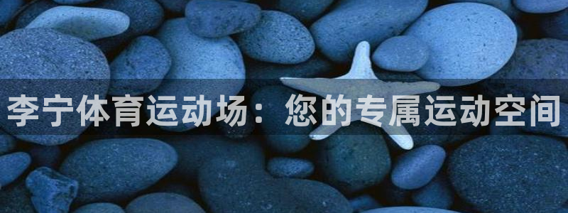 杏鑫2登录地址：李宁体育运动场：您的专属运动空间
