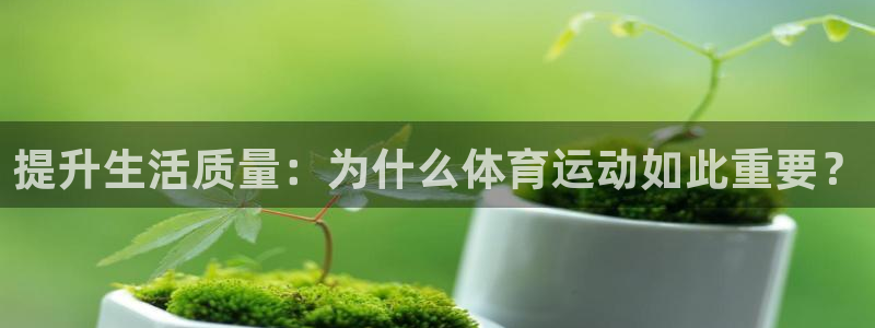 杏鑫体育平台注册：提升生活质量：为什么体育运动如此重要？