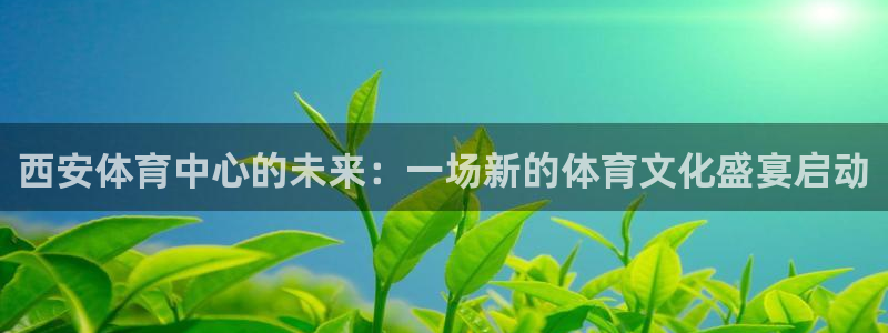 杏鑫4平台注册：西安体育中心的未来：一场新的体育文化盛宴启动