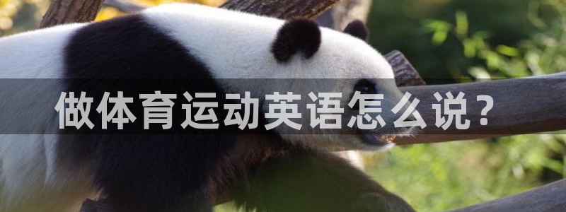 杏鑫体育eon：做体育运动英语怎么说？