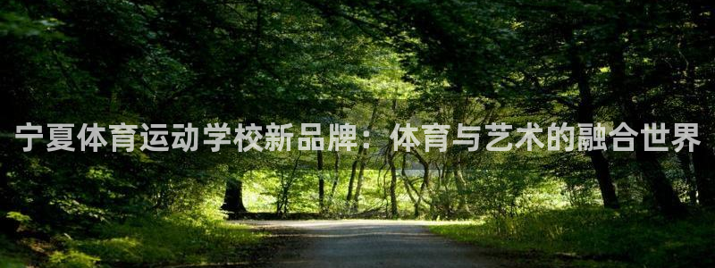杏鑫4官网：宁夏体育运动学校新品牌：体育与艺术的融合世界