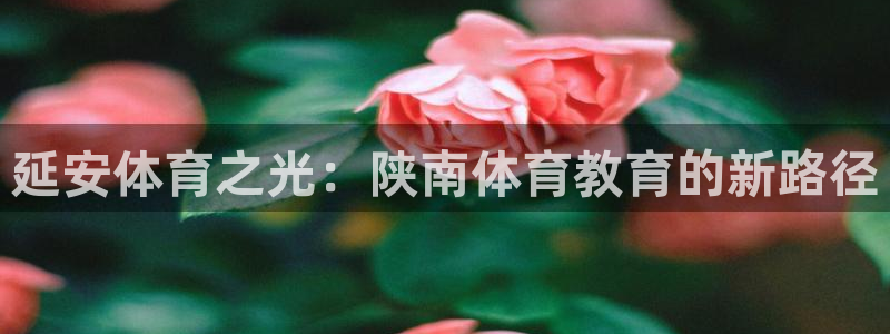 上海杏鑫汽车电子有限公司：延安体育之光：陕南体育教育的新路径
