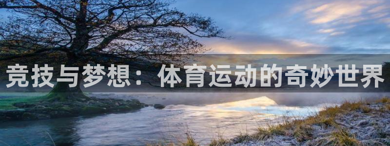 杏鑫体育代理申请流程：竞技与梦想：体育运动的奇妙世界
