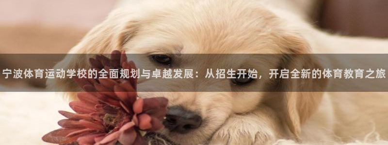 www.杏鑫体育.com：宁波体育运动学校的全面规划与卓越发展：从招生开始，开启