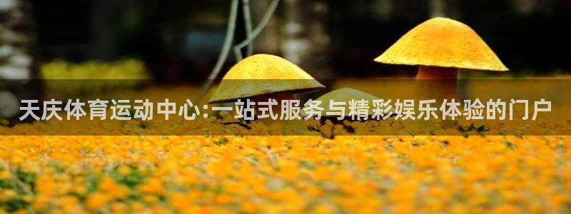 杏鑫体育3：天庆体育运动中心:一站式服务与精彩娱乐体验的门户