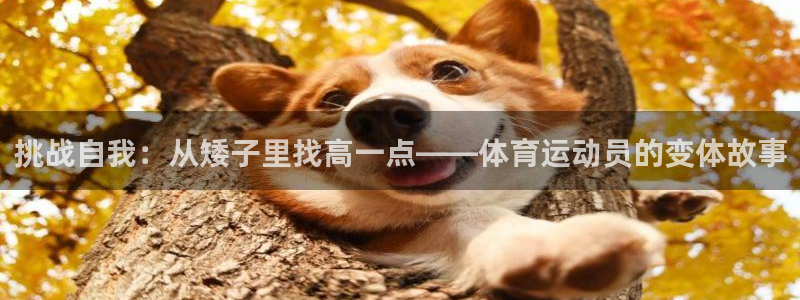 杏鑫凯捷开号链接：挑战自我：从矮子里找高一点——体育运动员的变体故事