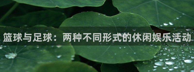 杏鑫平台：篮球与足球：两种不同形式的休闲娱乐活动