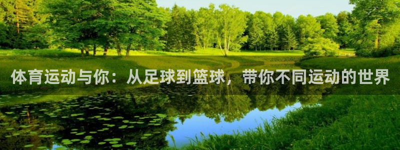 杏鑫体育4：体育运动与你：从足球到篮球，带你不同运动的世界