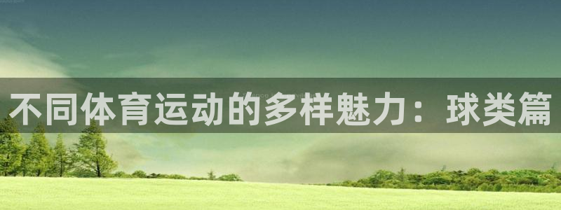杏鑫体育3在线注册：不同体育运动的多样魅力：球类篇