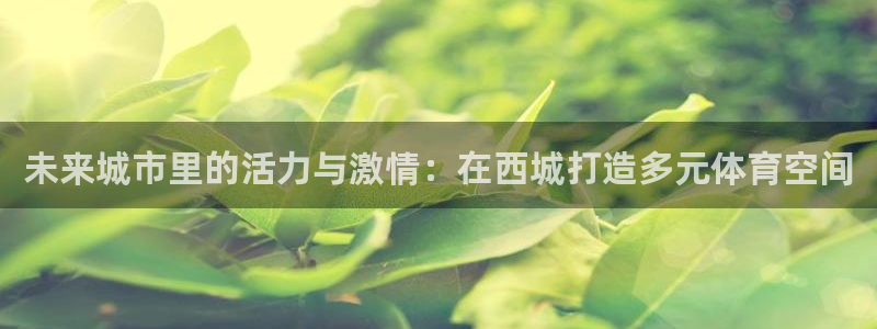 杏鑫体育凯捷平台代理：未来城市里的活力与激情：在西城打造多元体育空间