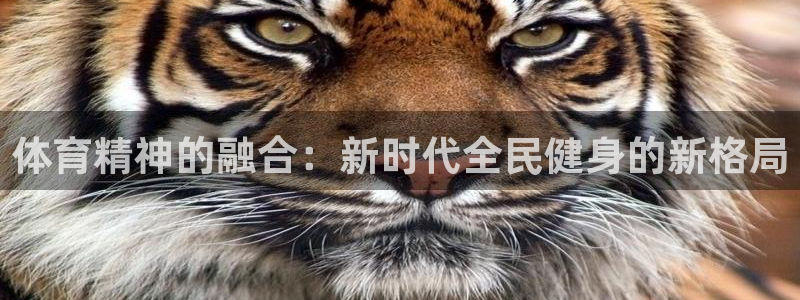 杏鑫体育2：体育精神的融合：新时代全民健身的新格局