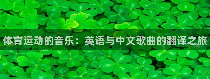 杏鑫4登录：体育运动的音乐：英语与中文歌曲的翻译之旅