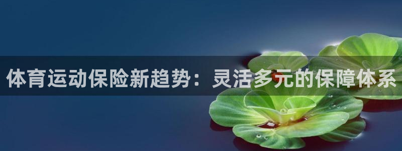 杏鑫kgame：体育运动保险新趋势：灵活多元的保障体系