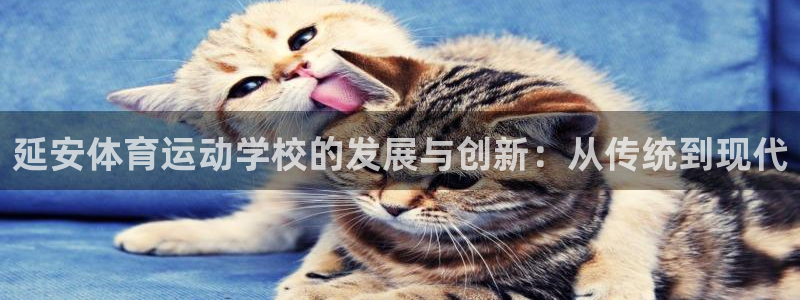 杏鑫2平台登录：延安体育运动学校的发展与创新：从传统到现代