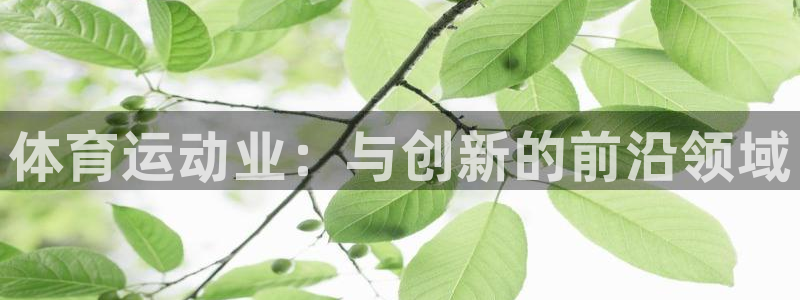 杏鑫体育凯捷代理注册：体育运动业：与创新的前沿领域