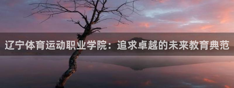 杏鑫2平台登录：辽宁体育运动职业学院：追求卓越的未来教育典范