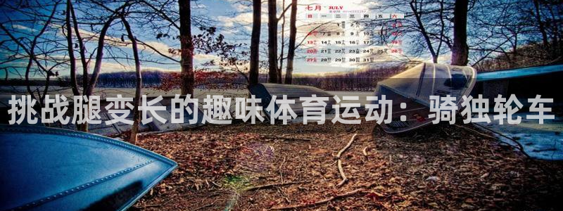 杏鑫零能源集团：挑战腿变长的趣味体育运动：骑独轮车
