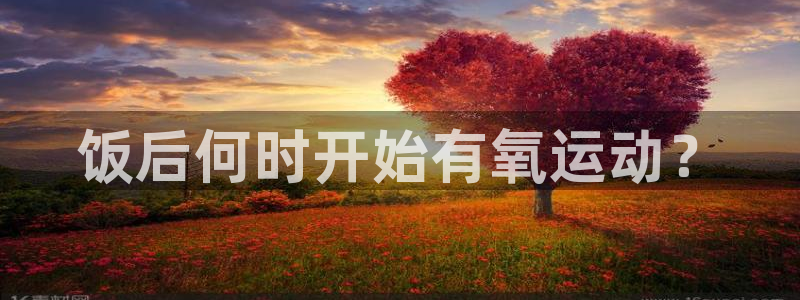 杏鑫体育热门赛事有哪些：饭后何时开始有氧运动？