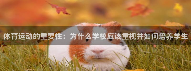 杏鑫代理注册官网入口：体育运动的重要性：为什么学校应该重视并如何培养学生