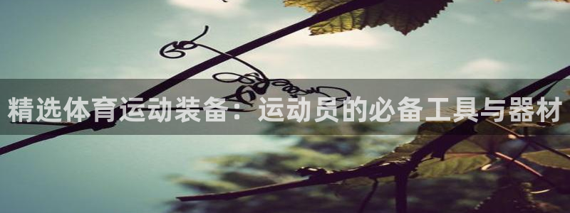 杏鑫5注册：精选体育运动装备：运动员的必备工具与器材
