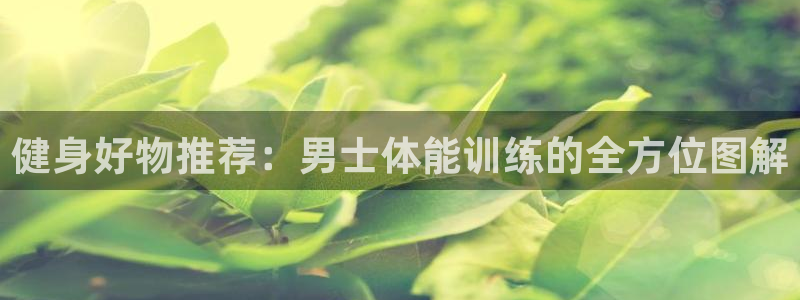 杏鑫4开户：健身好物推荐：男士体能训练的全方位图解