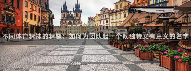 杏鑫2官网：不同体育精神的精髓：如何为团队起一个既独特又有意义的名字