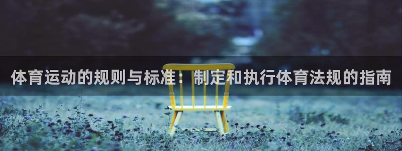 杏鑫体育官网入口登录：体育运动的规则与标准：制定和执行体育法规的指南