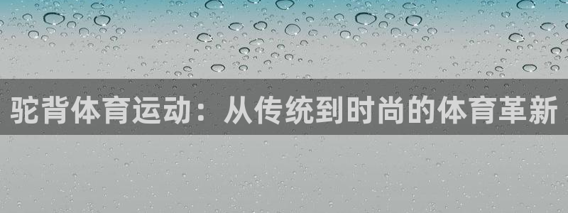杏鑫2体育：驼背体育运动：从传统到时尚的体育革新
