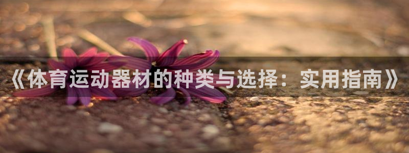杏鑫平台总代理：《体育运动器材的种类与选择：实用指南》