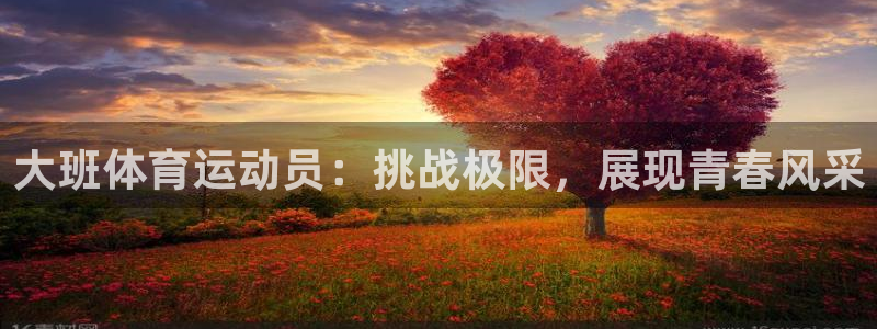 杏鑫登录：大班体育运动员：挑战极限，展现青春风采