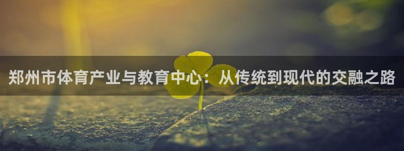 杏鑫体育热门赛事有哪些：郑州市体育产业与教育中心：从传统到现代的交融之路
