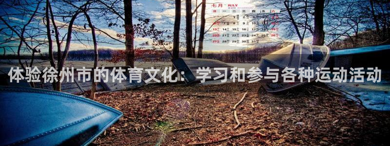 杏鑫体育和杏耀是哪个公司的：体验徐州市的体育文化：学习和参与各种运动活动