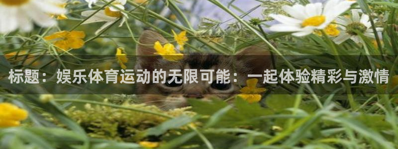 杏鑫平台总代理：标题：娱乐体育运动的无限可能：一起体验精彩与激情