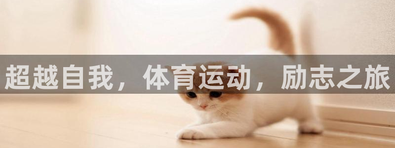 东莞市杏鑫电子科技有限公司：超越自我，体育运动，励志之旅