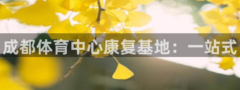 杏鑫4登录：成都体育中心康复基地：一站式