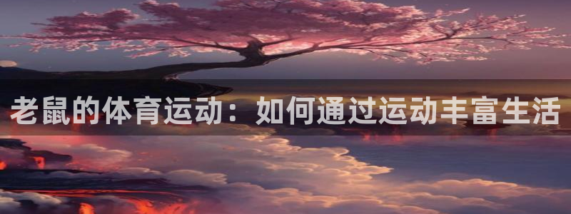 杏鑫3官网：老鼠的体育运动：如何通过运动丰富生活